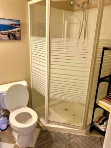 a bathroom with a toilet and a glass shower at Vito Place in Halifax +3 photos