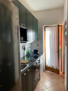 eine Küche mit Küchengeräten aus Edelstahl und grünen Schränken in der Unterkunft Sunny house in Porto Santo Stefano