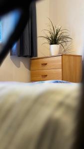 a bedroom with a dresser with a plant on it at Double room in Tooting Bec in London