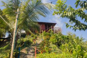 een huis midden in een tuin bij Cabañas Orlando y Más Na' Tayrona in El Zaino