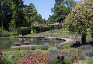 un jardin fleuri et un étang dans un parc dans l'établissement L'Escale Orléanaise, à Orléans