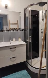 La salle de bains est pourvue d'une douche, d'un lavabo et d'un miroir. dans l'établissement L'Escale Orléanaise, à Orléans
