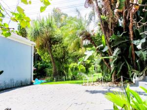 un jardín con palmeras y un camino de entrada en Corgi Guest House, en Johannesburgo