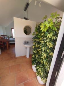 a bathroom with a plant wall next to a sink at Castillo de Villaverde in Villaverde