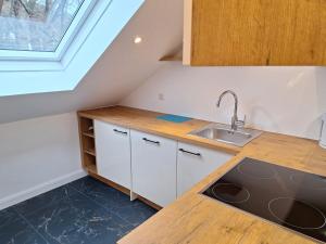 a kitchen with a sink and a counter top at Apartment Purkersdorf bei Wien Top 4 in Purkersdorf