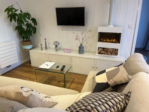 sala de estar con sofá y chimenea en Joli T2 3* 40 m2 avec parking et terrasse, en Aix-les-Bains