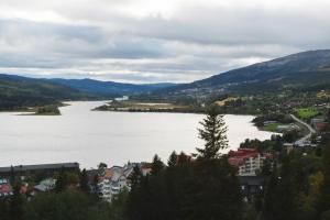 Příroda nedaleko apartmánu