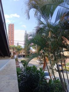 a palm tree on the side of a building at Espacio seguro, amplio y acogedor in Medellín