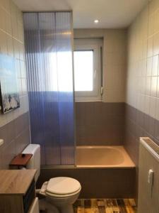 een badkamer met een douche, een toilet en een bad bij Sol Ferienwohnung in Rodenbach