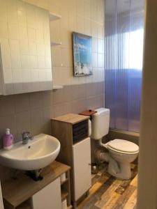 een badkamer met een wastafel en een toilet bij Sol Ferienwohnung in Rodenbach