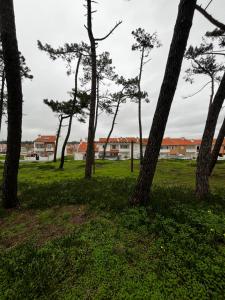 Naturlandskabet i nærheden af feriehuset