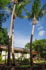 two palm trees in front of a building at Cabañas moeVarua en Tahai in Hanga Roa