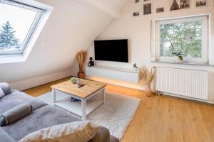 ein Wohnzimmer mit einem Sofa und einem TV in der Unterkunft Hue Space Air in Kassel