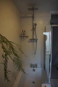 een badkamer met een douche en een bad bij Ben & Maria's Guesthouse in Bath