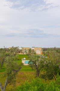 a view of a field with trees and a house at Tenuta Calitre in Melendugno