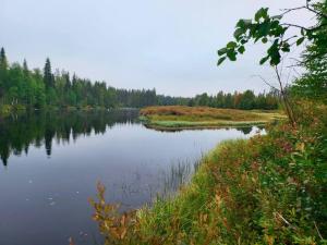 vistas a un lago con árboles en el fondo en Lapland Riverside Cabin, Äkäsjoen Piilo - Jokiranta, Traditional Sauna, Avanto, WiFi, Ski, Ylläs, Erä, Kala, en Äkäsjoensuu