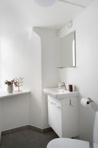 ein weißes Bad mit einem WC und einem Waschbecken in der Unterkunft Centrally located in Copenhagen in Kopenhagen