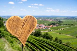 a wooden heart on top of a vineyard at Ferienwohnung Palatina in Heuchelheim-Klingen