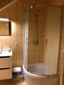 a bathroom with a shower and a toilet and a sink at "Pokoje u Ireny"-pokój brzoza 4 osobowy in Sztutowo