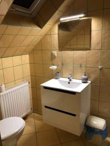 a bathroom with a sink and a toilet and a mirror at "Pokoje u Ireny"-pokój brzoza 4 osobowy in Sztutowo