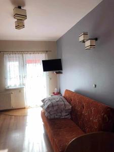 ein Wohnzimmer mit einem Sofa und einem TV in der Unterkunft "Pokoje u Ireny"-pokój brzoza 4 osobowy in Sztutowo