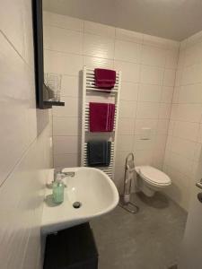 a bathroom with a white sink and a toilet at Fahrer- und Logistikservice in Hecklingen
