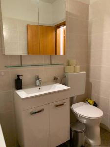 a small bathroom with a toilet and a sink at Charmante Wohnung in St. Peter. in Graz