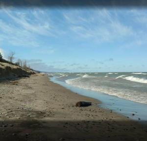 Billede fra billedgalleriet på A Slice of Blue Haven i South Haven + 8 billeder