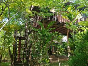Giardino di Sigiriya Rock Gate Tree House
