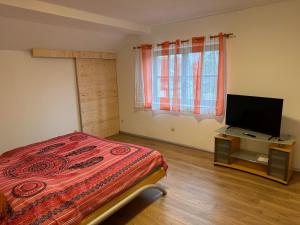 a bedroom with a bed and a flat screen tv at Entspannungsoase Haus Iris in Kirchham