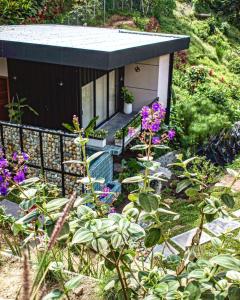 ein kleines Haus in einem Garten mit lila Blumen in der Unterkunft Primitivo Quindío in Circasia