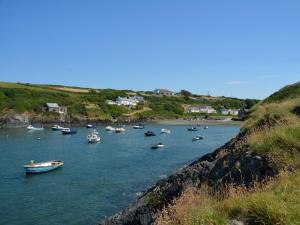 a group of boats in a body of water at 1 Bed in St Davids 62569 in Abercastle
