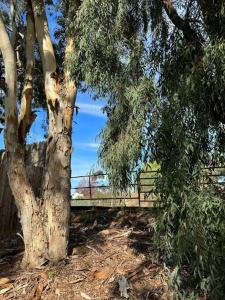 un árbol con una valla delante de un árbol en San Diego Trail Guest Ranch, en Poway