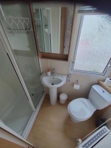 a bathroom with a toilet and a sink and a shower at M&C Caravan Hire Sunnysands in Barmouth