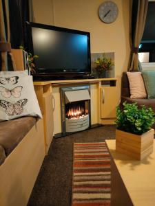 salon z kominkiem i telewizorem z płaskim ekranem w obiekcie M&C Caravan Hire Sunnysands w mieście Barmouth