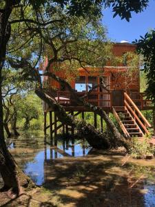 a tree that has fallen on a wooden bridge at La Tiny in Tigre
