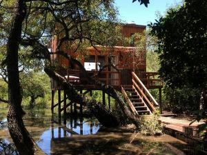 a house in the water with a tree at La Tiny in Tigre