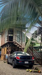 een auto geparkeerd voor een huis met een palmboom bij Dominga's Eco-Yellow Hideaway in Puerto Viejo