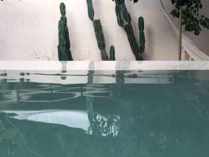 Bazén v ubytování Hotel Boutique KAA nebo v jeho okolí