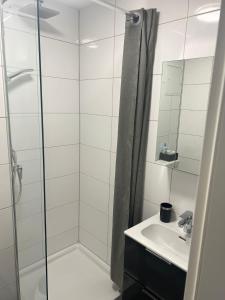 La salle de bains est pourvue d'une douche et d'un lavabo. dans l'établissement -Bella Casa- Central Studio Apartment, à Fürth