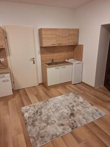 uma cozinha com um lavatório, uma porta e um tapete em Sandra em Leoben