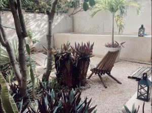 Zahrada ubytování Hotel Boutique KAA