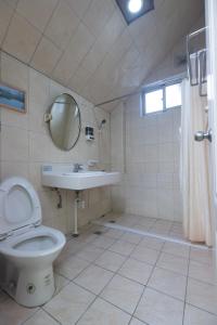 a bathroom with a toilet and a sink and a mirror at Pine Tree Resort  in Zhushan