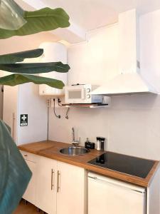 eine kleine Küche mit einer Spüle und einer Mikrowelle in der Unterkunft CerezinoFlats-Estúdio Vista Baía in Seixal