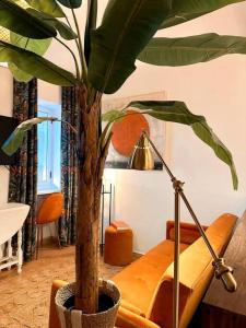 a living room with a couch and a palm tree at CerezinoFlats-Estúdio Vista Baía in Seixal