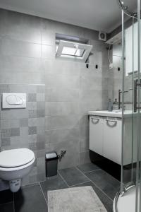 a bathroom with a toilet and a sink and a shower at Cherry Berry Apartmani in Eminovci