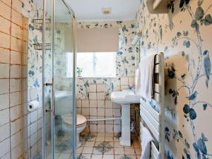 a bathroom with a shower and a toilet and a sink at 2 bed in Blandford Forum STOMI in Durweston +16 photos