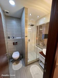 a bathroom with a toilet and a shower at Metropolitan Rooms in Belgrade