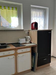 a kitchen with a black refrigerator and a sink at Ein Zimmer Wohnung am Markt in Oelsnitz