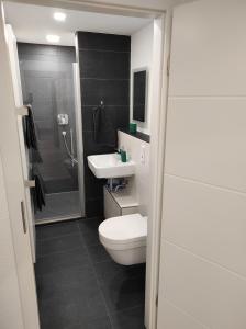 ein Badezimmer mit Toilette, Waschbecken und Dusche in der Unterkunft TinyFeWo Markdorf in Markdorf